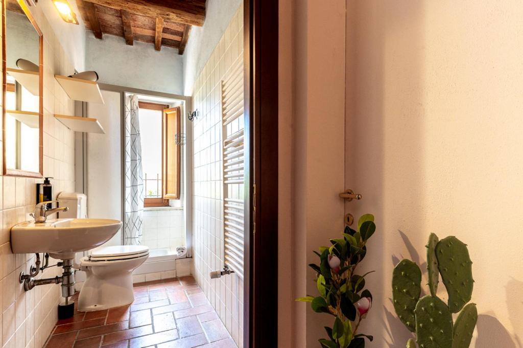 Massa Alta B&B E Appartamenti Massa Marittima Extérieur photo